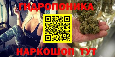Альфа ПВП Волжск