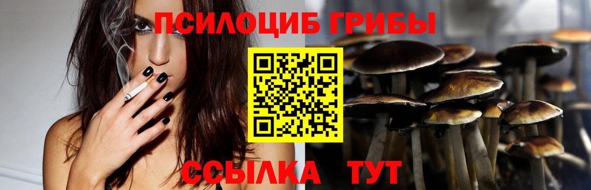 Белово  наркошоп  Вход с VPN  Галлюциногенные грибы MAGIC MUSHROOMS  Псилоцибиновые грибы прущие грибы 